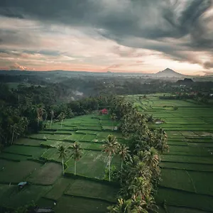 3* Pensjonat Ayu Duwur Beji