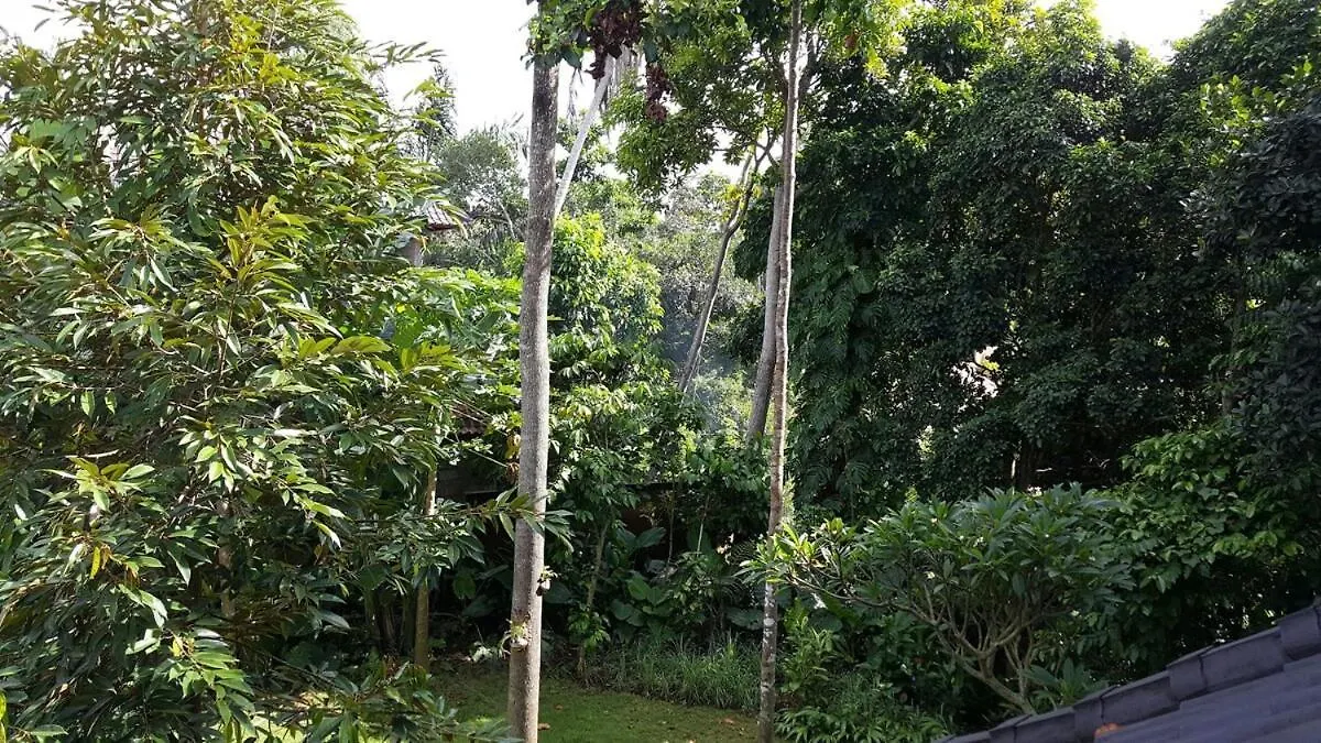 2Br Jungle House In The Edge Of Ubud Indonesia