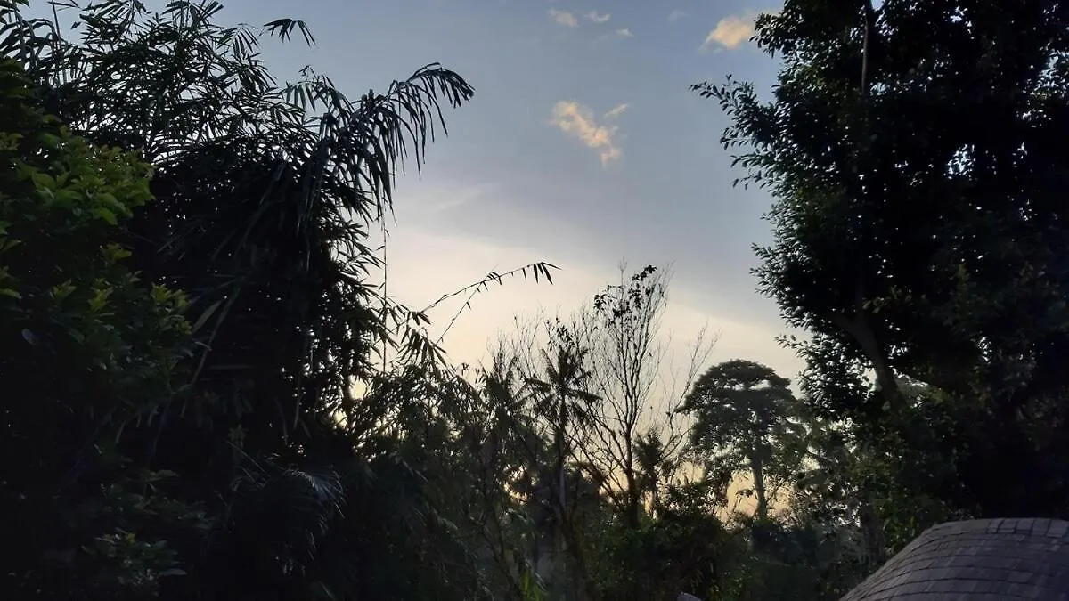 Apartment 2Br Jungle House In The Edge Of Ubud Indonesia