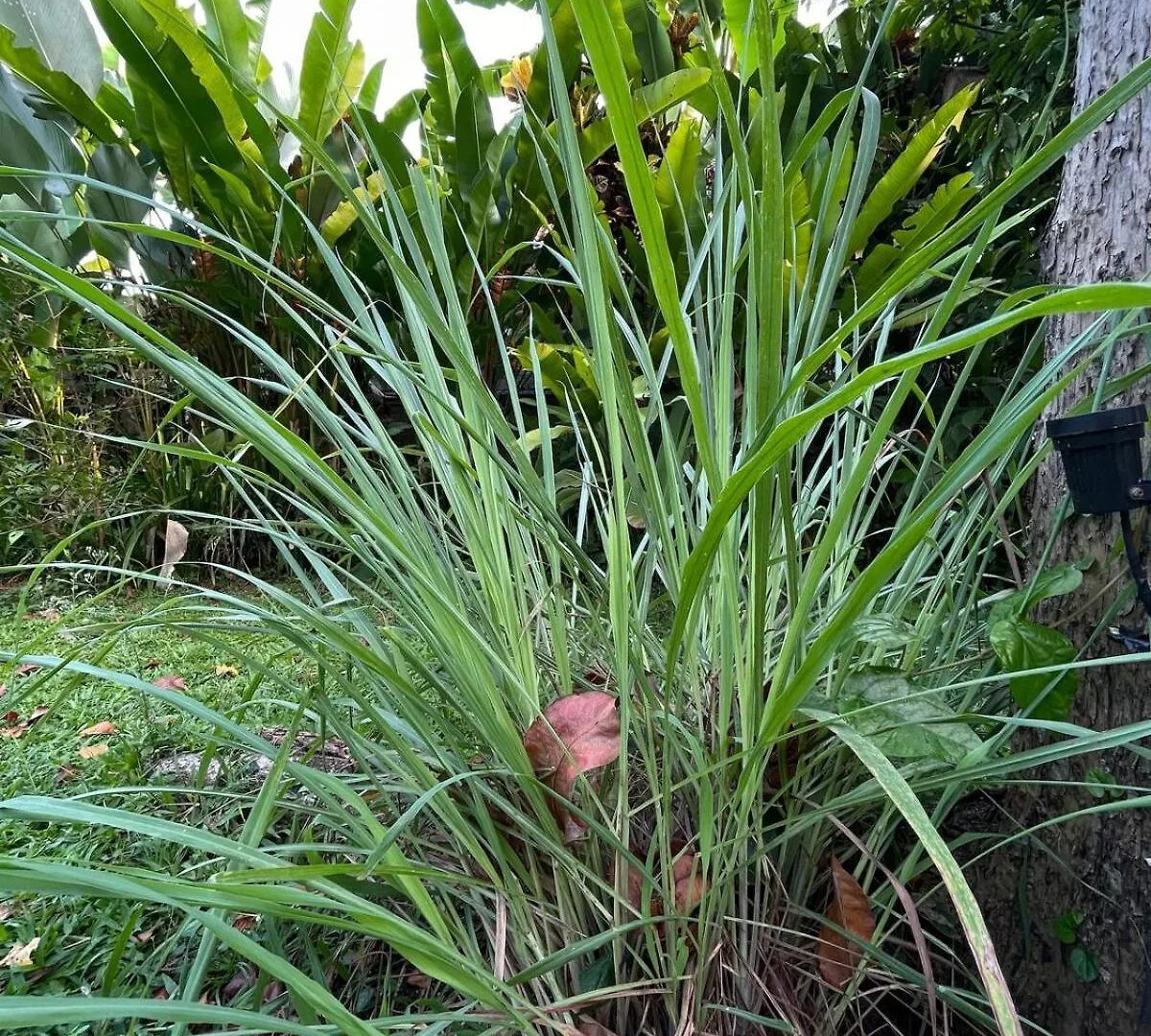 2Br Jungle House In The Edge Of Ubud Indonesia