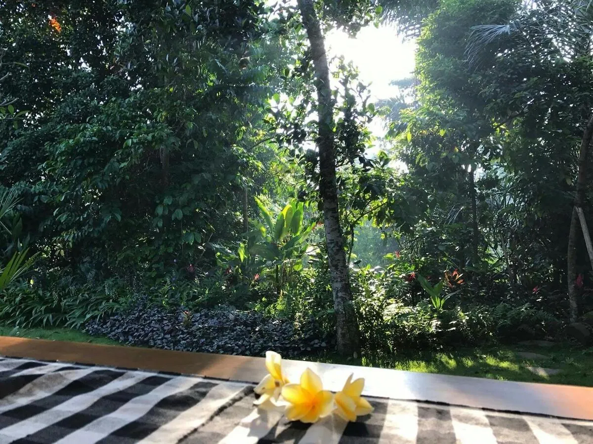 2Br Jungle House In The Edge Of Ubud Apartment Ubud (Bali)